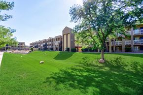 Tucson apartment for rent - A tree stands in a grassy area in front of a building.