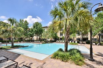 Irving apartment for rent - A pool surrounded by palm trees and plants.