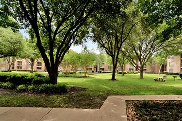 Dallas apartment for rent - A tree in a grassy area in front of apartment buildings.