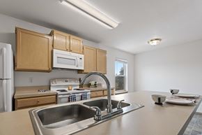 Coeur D’Alene apartment for rent - a kitchen with wooden cabinets and a stainless steel sink