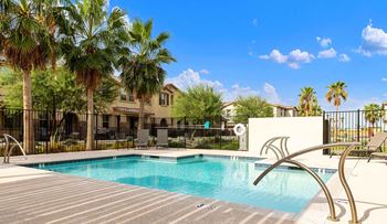 Rectangle pool with modern style stainless steel  rails. Palm trees provide shade