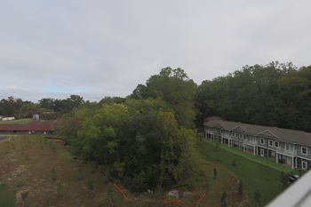 Wooded view