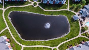 Lake view