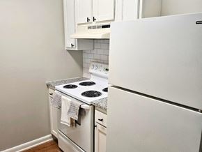 Newport News apartment for rent - a small kitchen with a stove and a refrigerator
