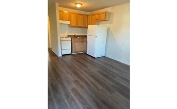 Newport News apartment for rent - a kitchen with a white refrigerator and wooden floors