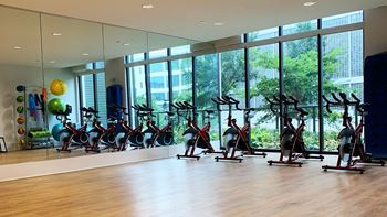 Yoga studio