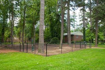 Pet park