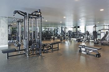 Gym with a variety of equipment