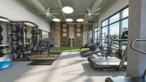Charlotte apartment for rent - a gym with weights and other exercise equipment in a room with windows at Link Apartments® NoDa 36th Apartments, Charlotte, North Carolina