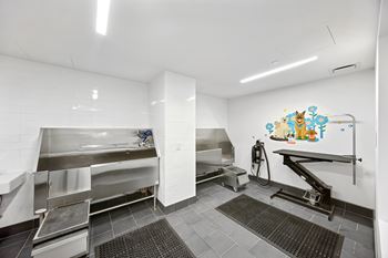 Pet wash station