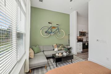 Charlotte apartment for rent - A living room with a grey couch and a bicycle on the wall.