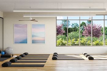 Yoga_studio_and_trx