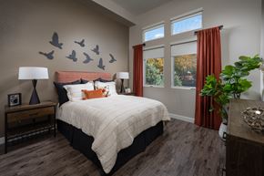 Mountain View apartment for rent - a bedroom with a bed and birds on the wall