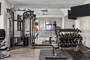 Free weights in gym