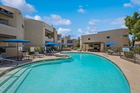 Scottsdale apartment for rent - A large swimming pool in front of a building with a fence around it.