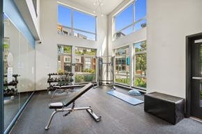 Bellevue apartment for rent - Gym at Vue 22