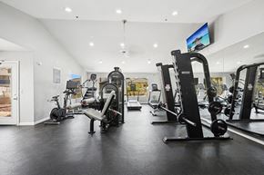 Tempe apartment for rent - A gym with a variety of equipment including treadmills, weights, and exercise machines.