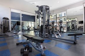 Fremont apartment for rent - a gym with a lot of exercise equipment and a large window