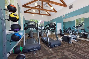High-performance fitness studio