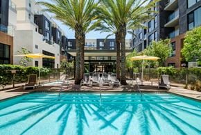 San Marcos apartment for rent - Sparkling Swimming Pool at Block C, San Marcos, CA