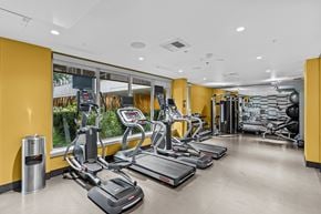 Seattle apartment for rent - A gym with treadmills, elliptical machines, and weights.