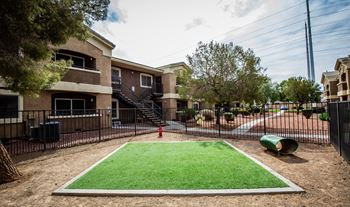 Fenced dog park