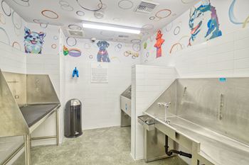 Dog wash and self-service grooming area