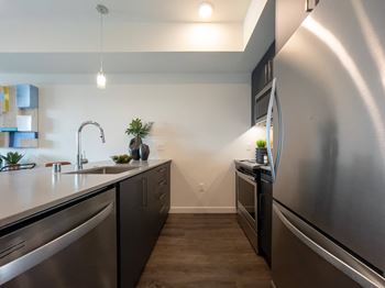 Stainless steel kitchen appliances