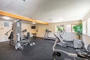 Reno apartment for rent - the gym with treadmills and other exercise equipment at 1861 blissful heights apartments