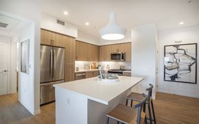 Carlsbad apartment for rent - a kitchen with a large island and a stainless steel refrigerator