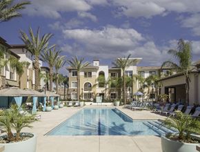 Vista apartment for rent - A large swimming pool surrounded by palm trees and lounge chairs.