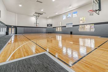 Basketball court