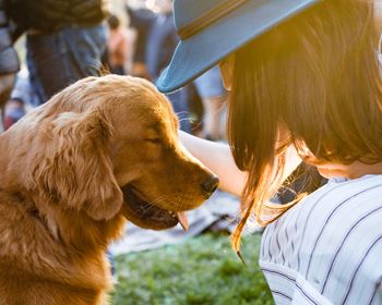 Stock image of woman with dog