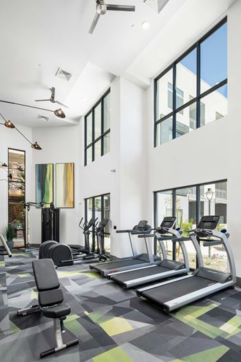 24-Hour fitness center with free weights and cardio machines