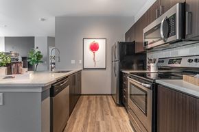 Beaverton apartment for rent - modern kitchen at Pallas