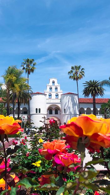 40 Steps to sdsu