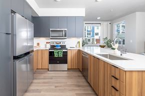 Beaverton apartment for rent - One Bedroom Model Kitchen - The Miles