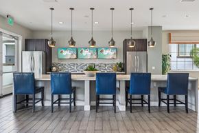 Vista apartment for rent - Preserve At Melrose Demonstration Kitchen