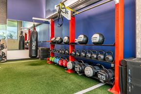 Seattle apartment for rent - A gym with a green floor and a purple wall.