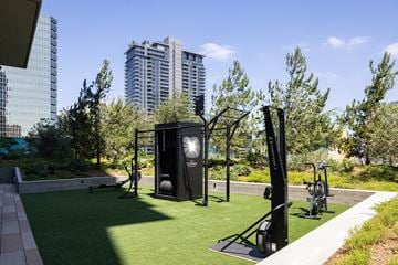 San Diego apartment for rent - A black outdoor gym equipment set up on a grassy area with trees and buildings in the background.