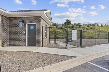 Dog park and pet spa and pet dryer
