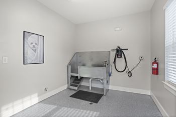 Dog park and pet spa and pet dryer