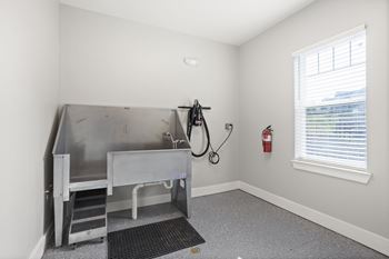 Dog park and pet spa and pet dryer