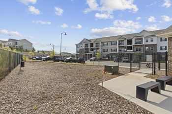 Dog park and pet spa and pet dryer