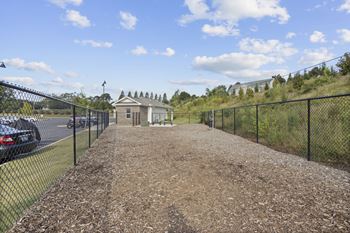 Dog park and pet spa and pet dryer