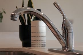 Spartanburg apartment for rent - A modern faucet with a black container and a plant in the background.