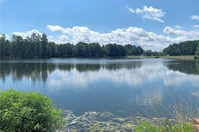 Columbia apartment for rent - A serene lake surrounded by lush greenery under a clear sky.