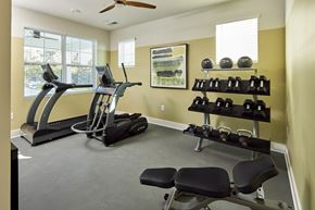 Calabash apartment for rent - A home gym with a treadmill, elliptical trainer, and dumbbells.