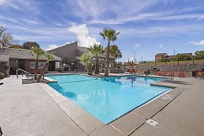 El Paso apartment for rent - A large swimming pool surrounded by palm trees and lounge chairs.