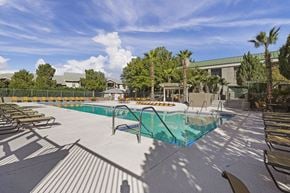 El Paso apartment for rent - A large outdoor swimming pool surrounded by sun loungers and palm trees.